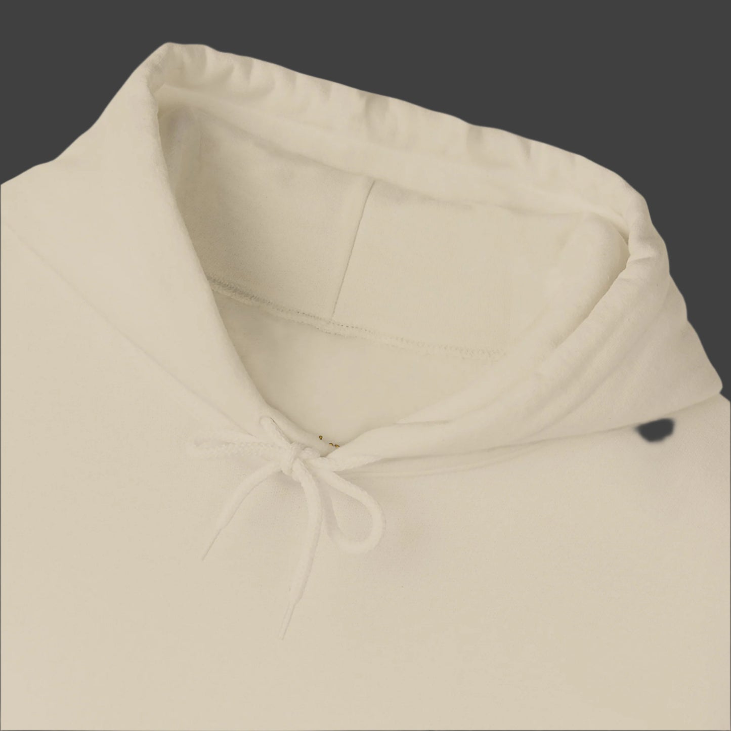The Person you dream of Becoming is waiting for YOU to try" motivational inspirational hoodie imprinted in teal green on the back of hoodie. Clean front. Sizes S-5XL Available in light blue, white, ash gray, sand or black.